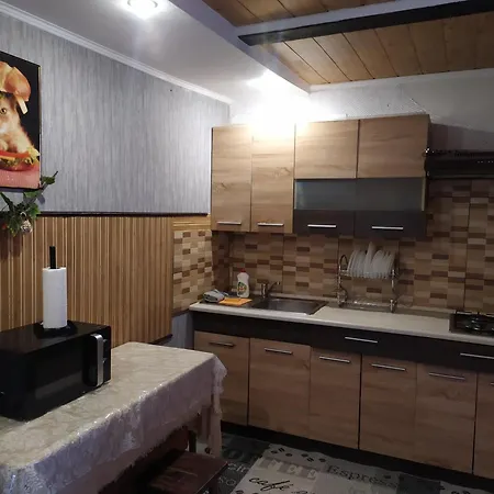 бадьорість карпат 게스트하우스 *